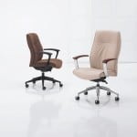 Paoli R5 Office Chairs