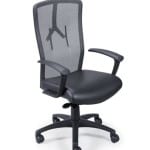 Paoli Slingshot Mesh Back Office Chair